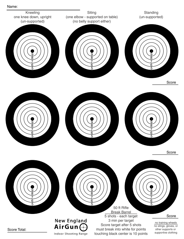 PictNew England Airgun - break barrel three position target for airgun games and competitions
