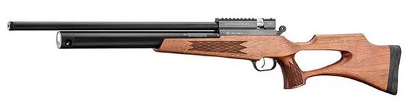 AR22 6 shot hammer action .22 with Regulator evanix new england airgun conventional stock